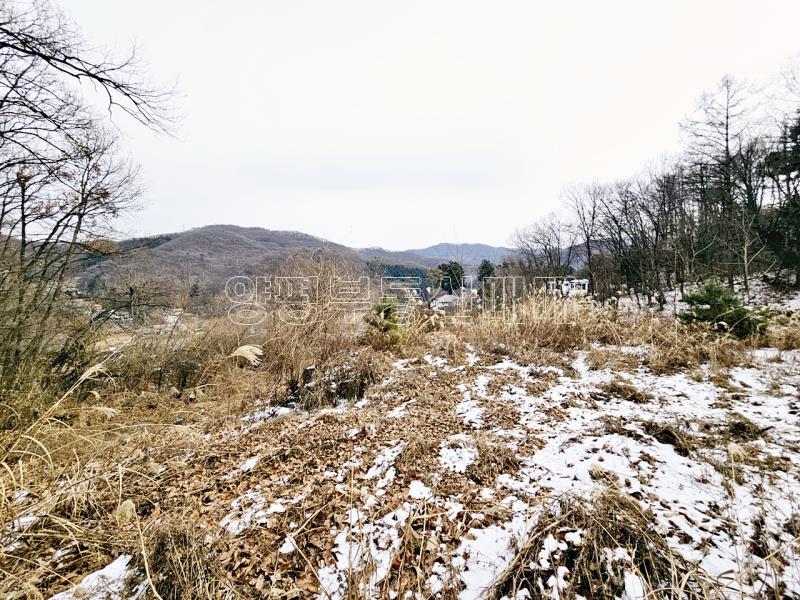 경기 광주시 퇴촌면 우산리 토목잘 되어있는 토지_7