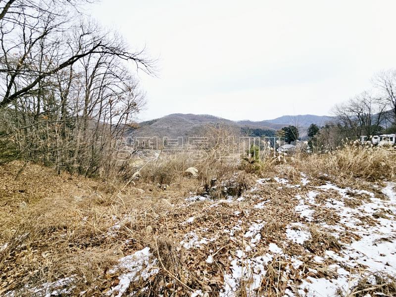 경기 광주시 퇴촌면 우산리 토목잘 되어있는 토지_8