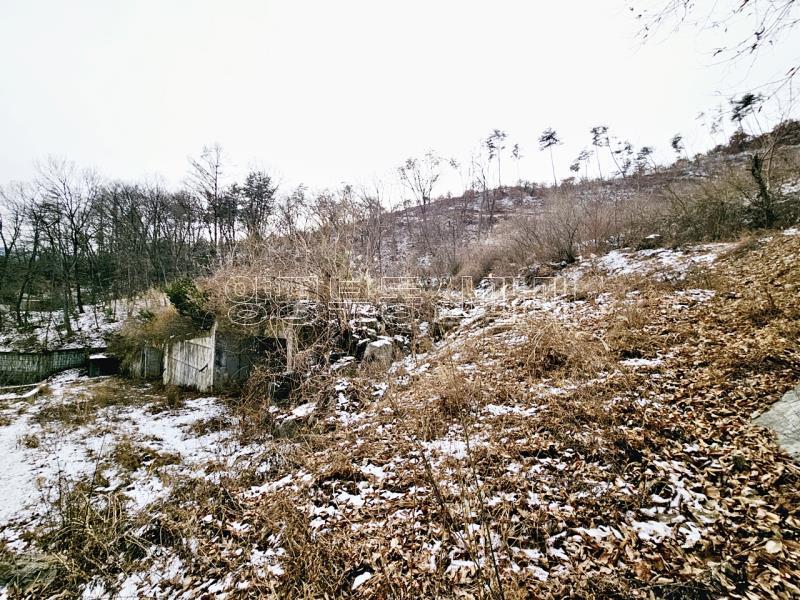 경기 광주시 퇴촌면 우산리 토목잘 되어있는 토지_9