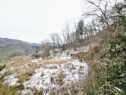 경기 광주시 퇴촌면 우산리 토목잘 되어있는 토지_썸네일_21