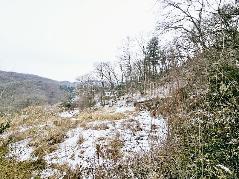 경기 광주시 퇴촌면 우산리 토목잘 되어있는 토지_21