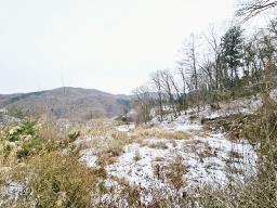 경기 광주시 퇴촌면 우산리 토목잘 되어있는 토지_썸네일_22