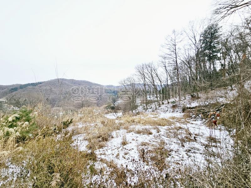 경기 광주시 퇴촌면 우산리 토목잘 되어있는 토지_22