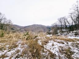 경기 광주시 퇴촌면 우산리 토목잘 되어있는 토지_썸네일_23