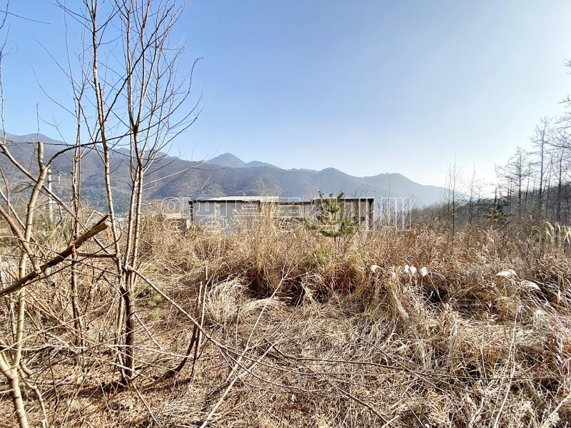 양평군 옥천면 용천리 전망좋은토지_6