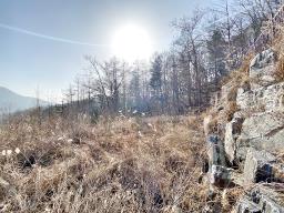 양평군 옥천면 용천리 전망좋은토지_썸네일_7