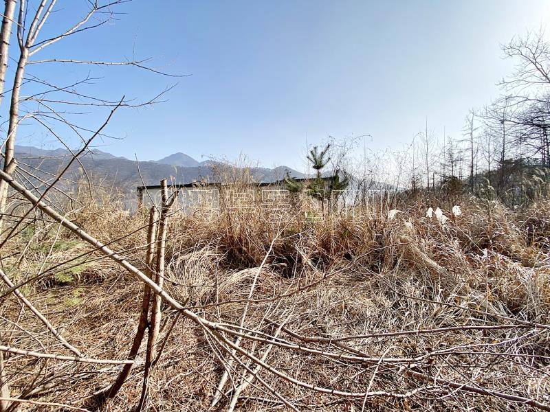 양평군 옥천면 용천리 전망좋은토지_8