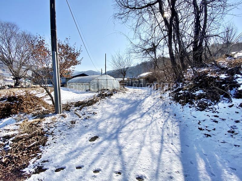 양평군 양서면 부용리 도시지역,개발제한, 녹지지역_3