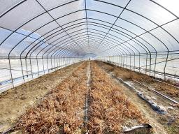 양평군 양서면 부용리 도시지역,개발제한, 녹지지역_썸네일_8