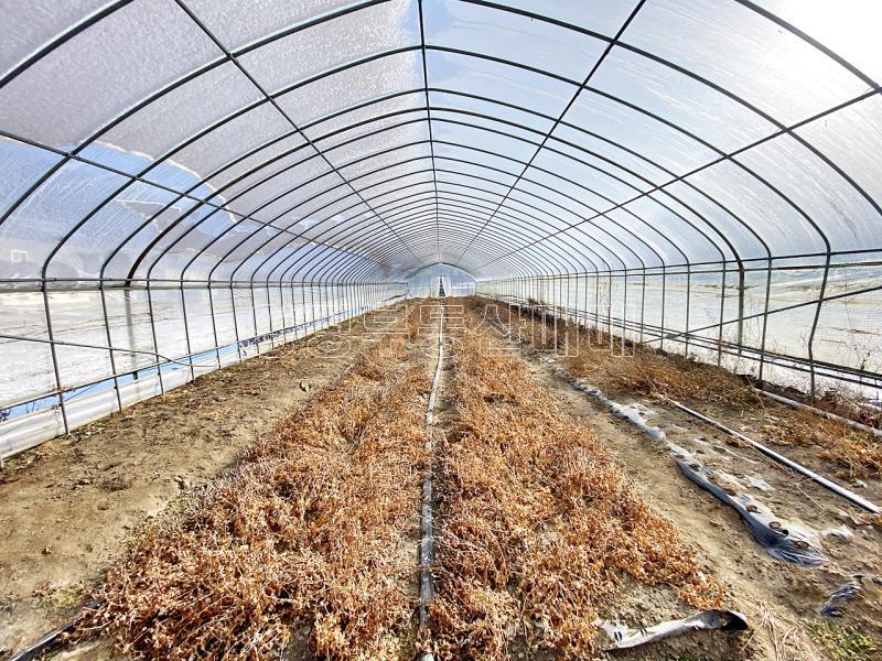 양평군 양서면 부용리 도시지역,개발제한, 녹지지역_8