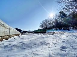 양평군 양서면 부용리 도시지역,개발제한, 녹지지역_썸네일_11