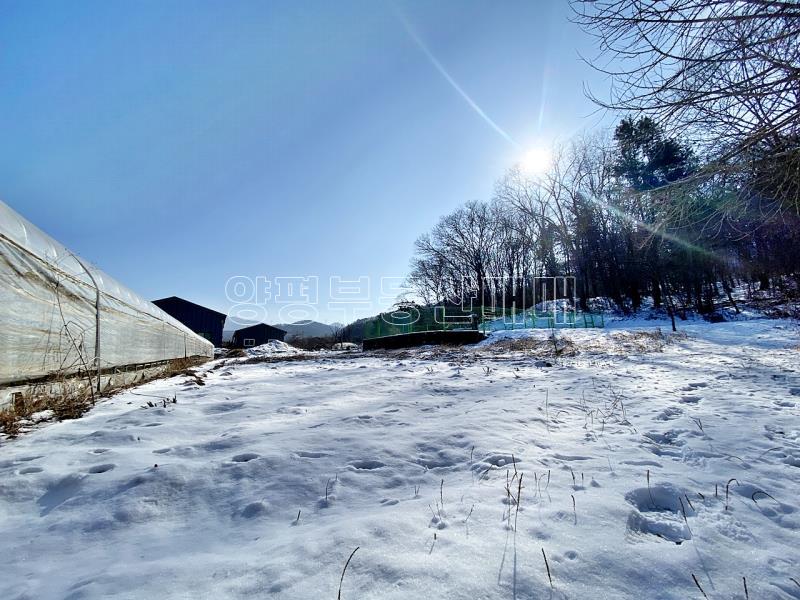 양평군 양서면 부용리 도시지역,개발제한, 녹지지역_11