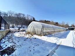 양평군 양서면 부용리 도시지역,개발제한, 녹지지역_썸네일_24