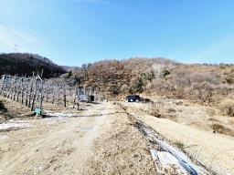 경기도 광주시 남종면 수청리_썸네일_11