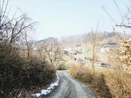 양평군 양서면 양수리 개발제한 녹지 맹지(평당3만원)_썸네일_4