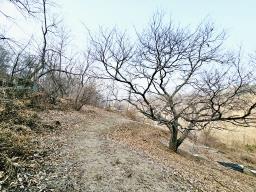 양평군 양서면 양수리 개발제한 녹지 맹지(평당3만원)_썸네일_5