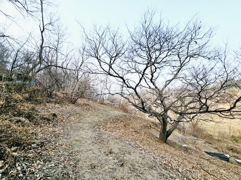 양평군 양서면 양수리 개발제한 녹지 맹지(평당3만원)_5