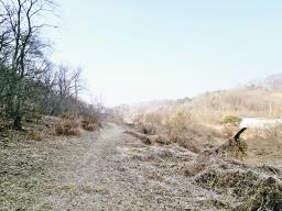 양평군 양서면 양수리 개발제한 녹지 맹지(평당3만원)_썸네일_6