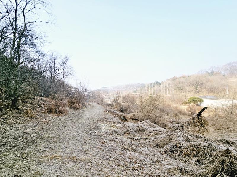 양평군 양서면 양수리 개발제한 녹지 맹지(평당3만원)_6