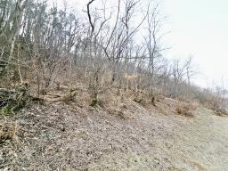 양평군 양서면 양수리 개발제한 녹지 맹지(평당3만원)_썸네일_7