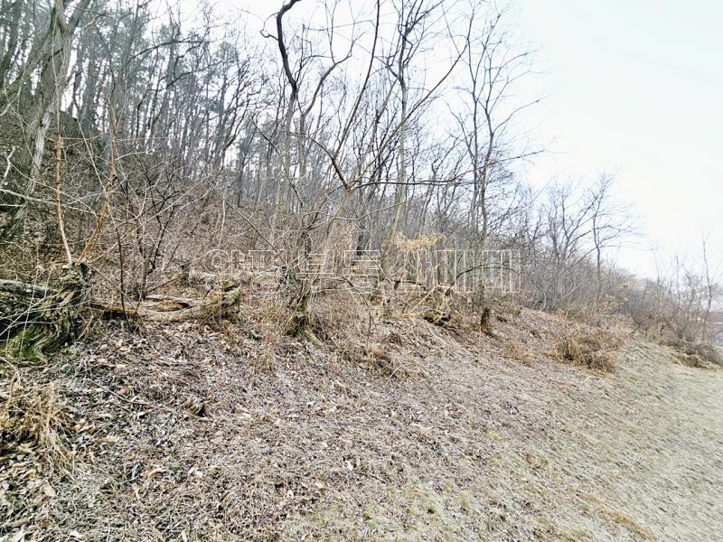 양평군 양서면 양수리 개발제한 녹지 맹지(평당3만원)_7