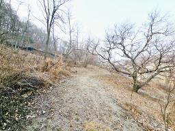 양평군 양서면 양수리 개발제한 녹지 맹지(평당3만원)_썸네일_8