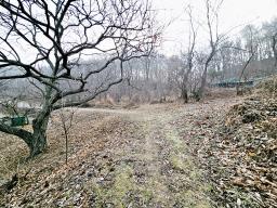 양평군 양서면 양수리 개발제한 녹지 맹지(평당3만원)_썸네일_9