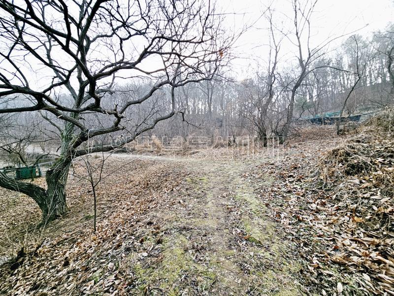 양평군 양서면 양수리 개발제한 녹지 맹지(평당3만원)_9