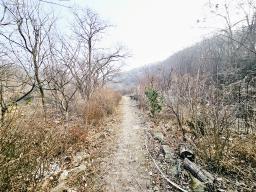 양평군 양서면 양수리 개발제한 녹지 맹지(평당3만원)_썸네일_10