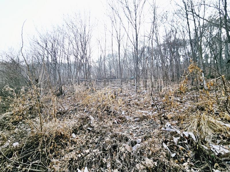양평군 양서면 양수리 개발제한 녹지 맹지(평당3만원)_12