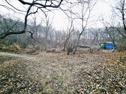 양평군 양서면 양수리 개발제한 녹지 맹지(평당3만원)_썸네일_13