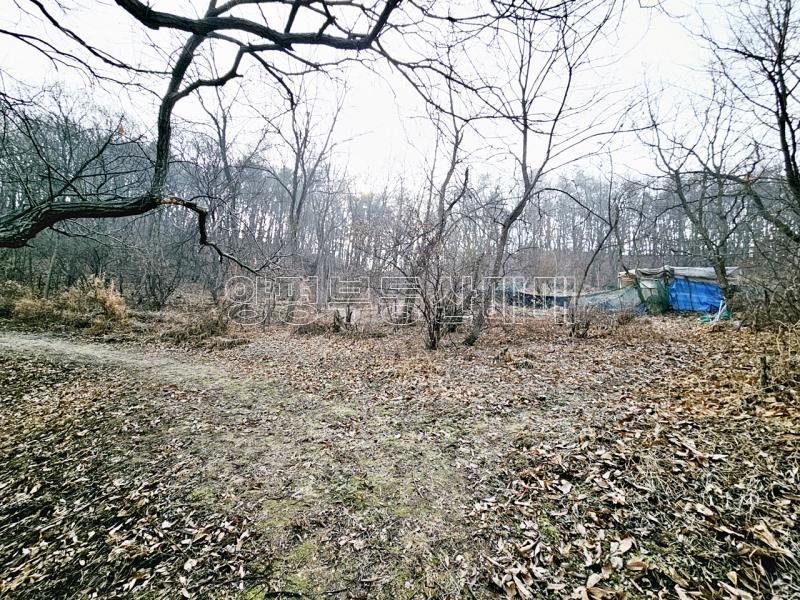 양평군 양서면 양수리 개발제한 녹지 맹지(평당3만원)_13