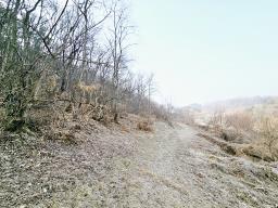 양평군 양서면 양수리 개발제한 녹지 맹지(평당3만원)_썸네일_14