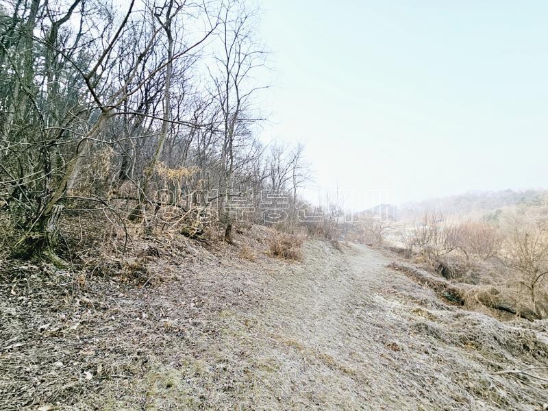 양평군 양서면 양수리 개발제한 녹지 맹지(평당3만원)_14