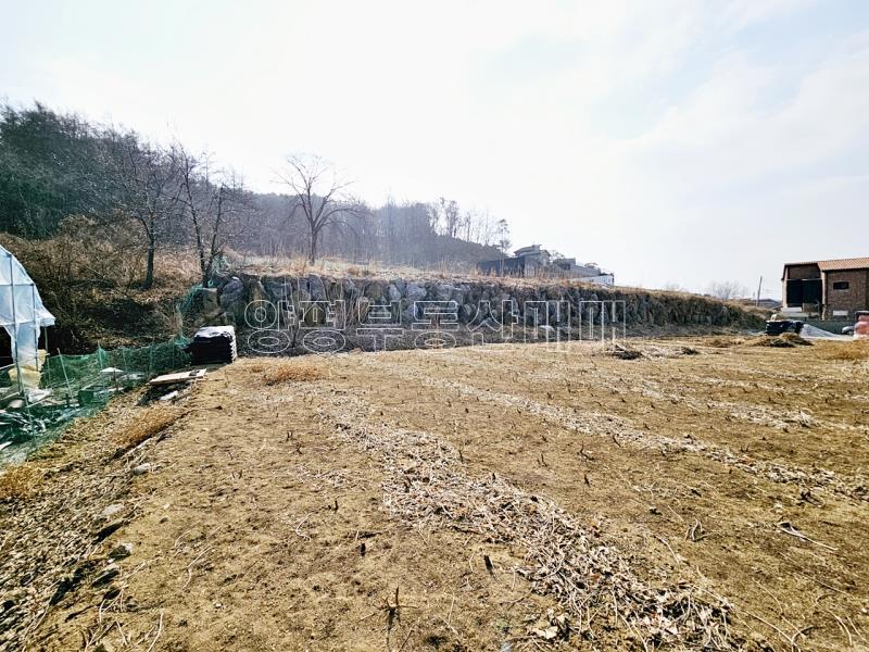 양평군 옥천면 용천리 농림지역,농업진흥지 (전)_2