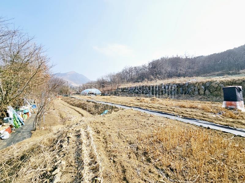 양평군 옥천면 용천리 농림지역,농업진흥지 (전)_3