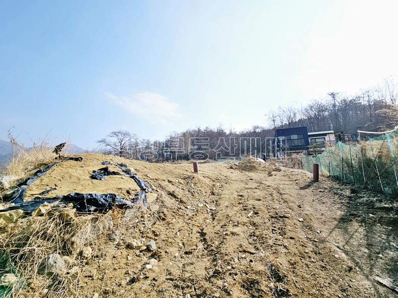 양평군 옥천면 용천리 농림지역,농업진흥지 (전)_8