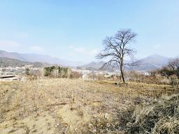 양평군 옥천면 용천리 농림지역,농업진흥지 (전)_썸네일_9