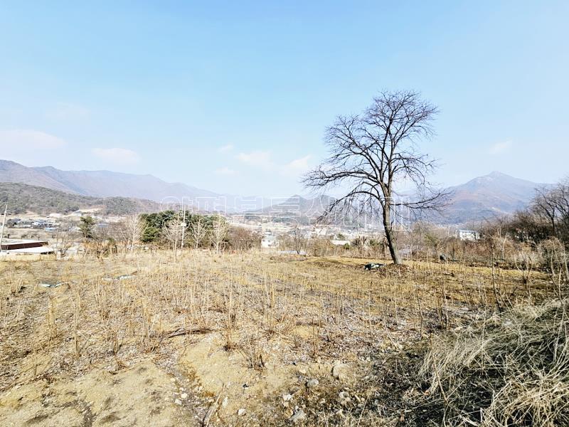 양평군 옥천면 용천리 농림지역,농업진흥지 (전)_9