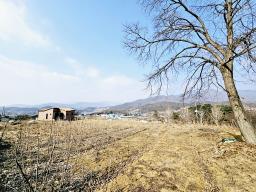 양평군 옥천면 용천리 농림지역,농업진흥지 (전)_썸네일_13