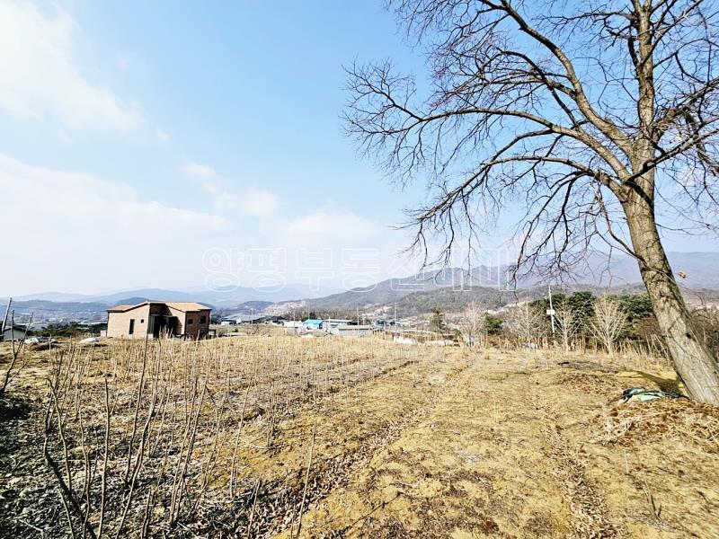 양평군 옥천면 용천리 농림지역,농업진흥지 (전)_13