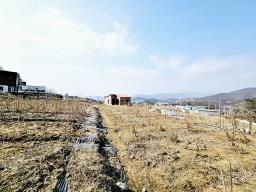 양평군 옥천면 용천리 농림지역,농업진흥지 (전)_썸네일_15