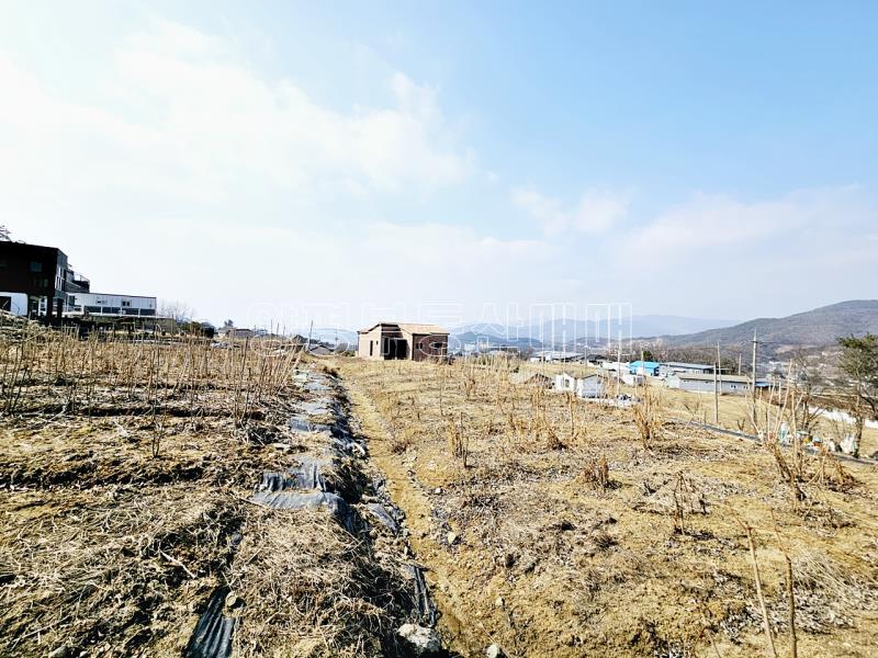 양평군 옥천면 용천리 농림지역,농업진흥지 (전)_15