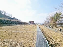 양평군 옥천면 용천리 농림지역,농업진흥지 (전)_썸네일_22