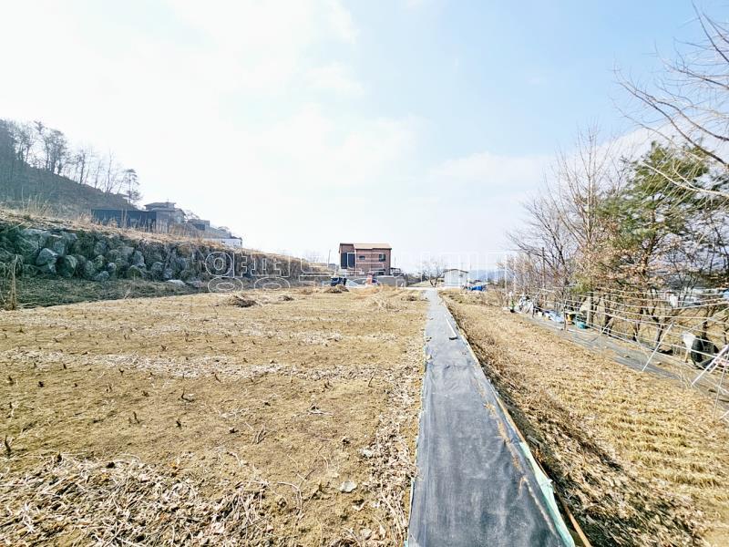 양평군 옥천면 용천리 농림지역,농업진흥지 (전)_22
