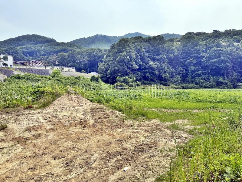 양평군 양서면 목왕리 전망좋은토지_2