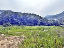 양평군 양서면 목왕리 전망좋은토지_썸네일_3