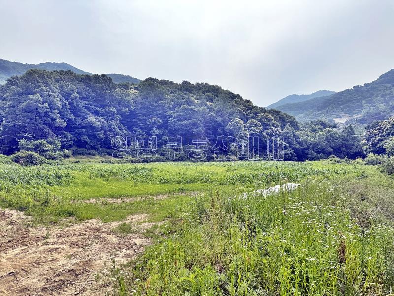 양평군 양서면 목왕리 전망좋은토지_3