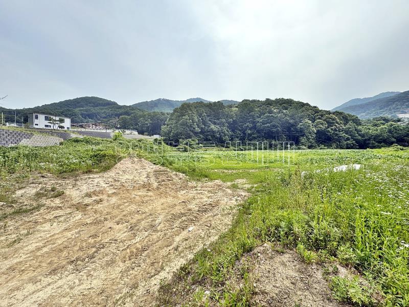 양평군 양서면 목왕리 전망좋은토지_4