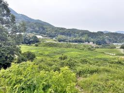 양평군 양서면 목왕리 전망좋은토지_썸네일_8